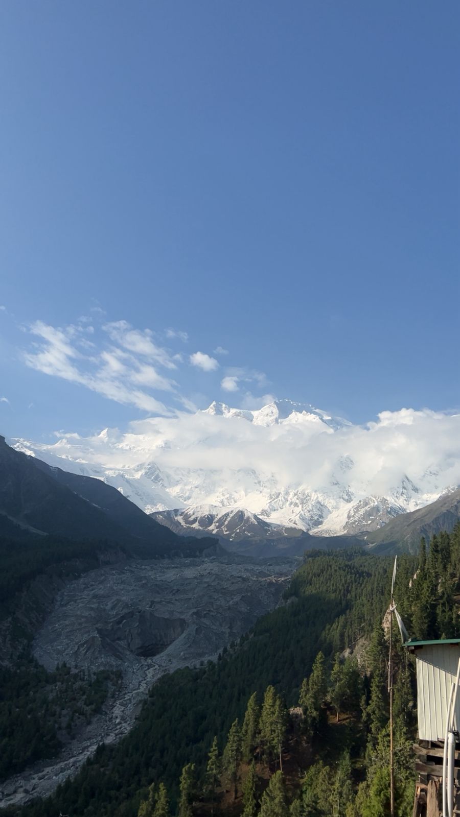 Glacier moraine beneath a snow-capped peak, framed by pine forest
